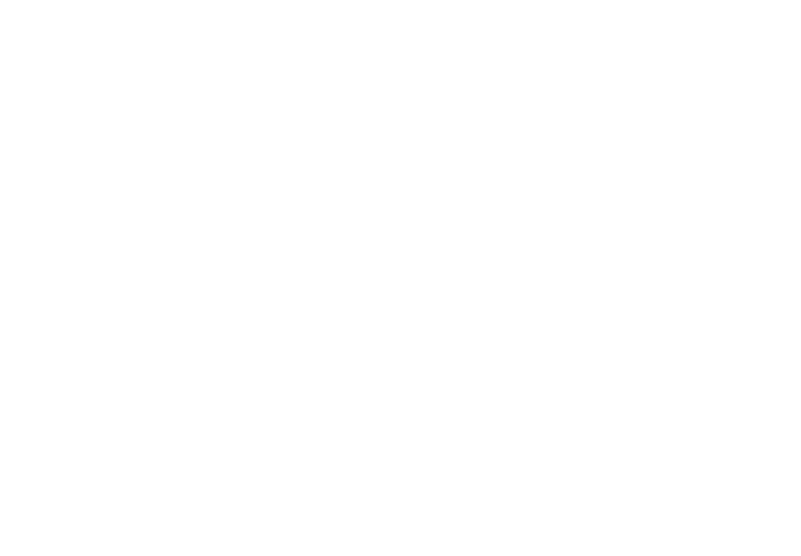 Jinko