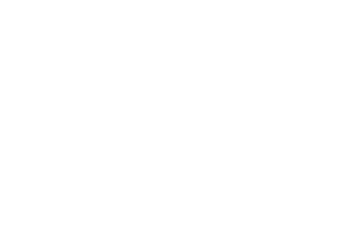 Pluspetrol logo