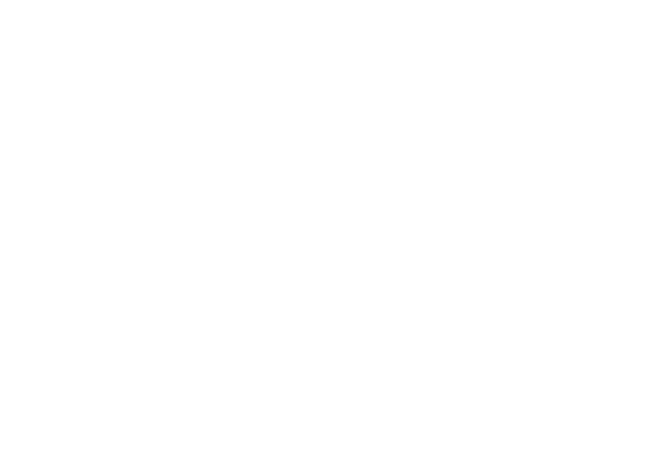 Telecom logo
